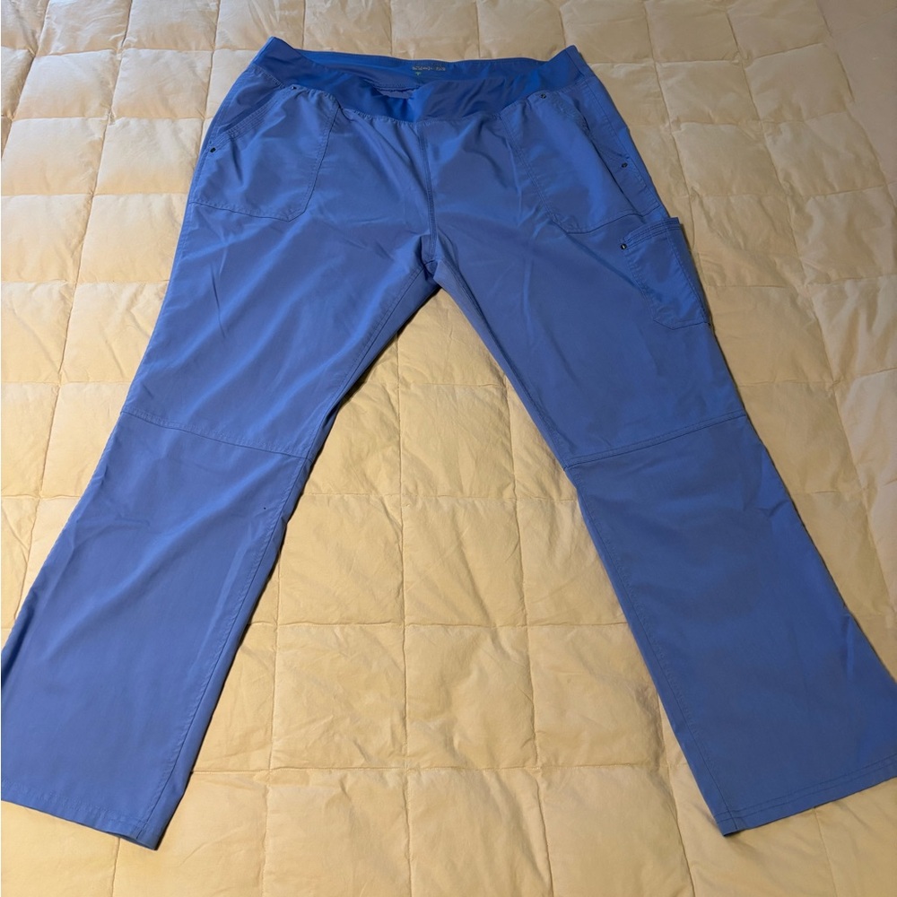 Healing Hangs Purple Label Yoga Women’s Cargo Scrub pants in blue. Plus Size 2x.